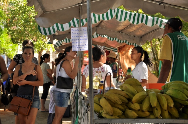 Feira (6) display